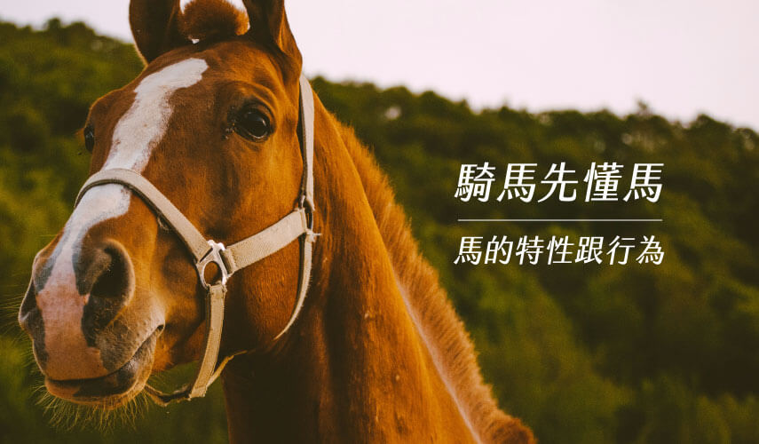 馬的特性與行為